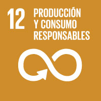 SDG 12